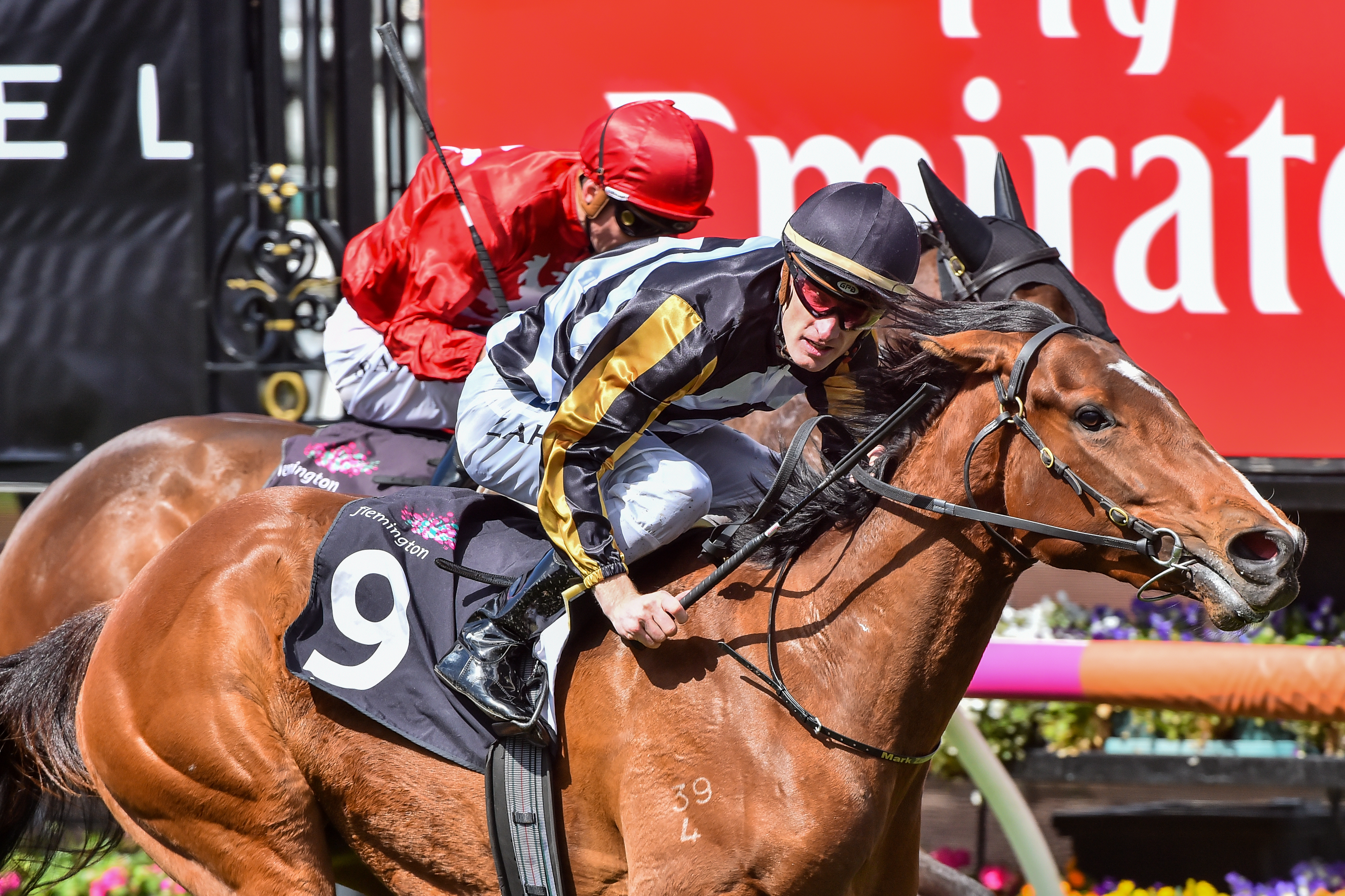Fox swift wins the Listed Cap D'Antibes Stakes at Flemington.