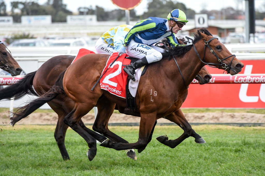 Merchant Navy wins the HDF McNeil Stakes at Caulfield
