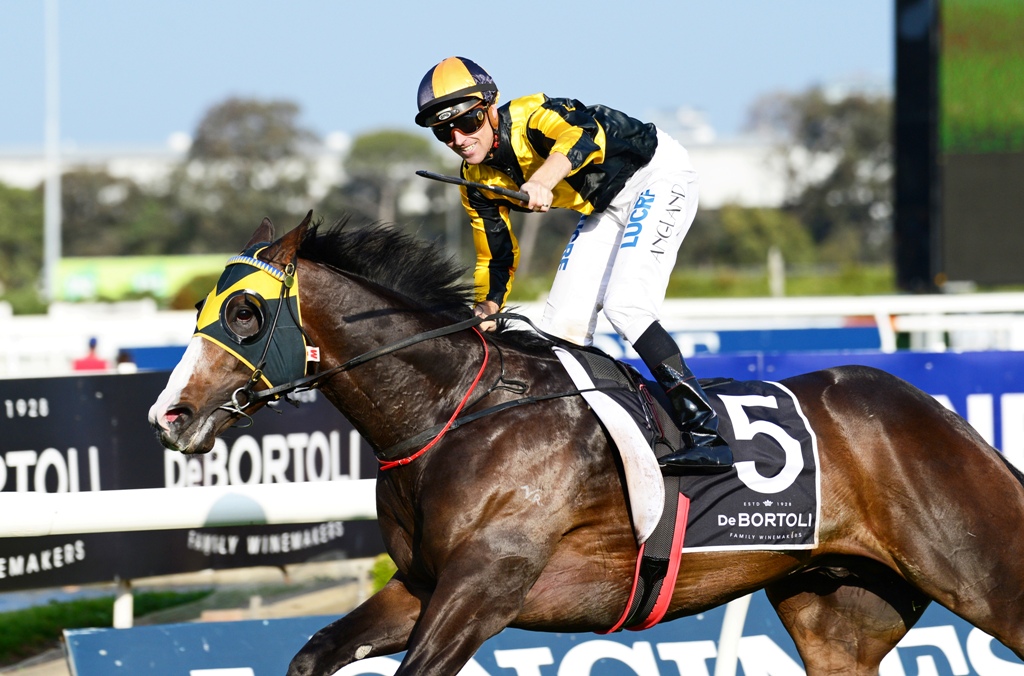 Trapeze Artist wins the Group One Golden Rose.