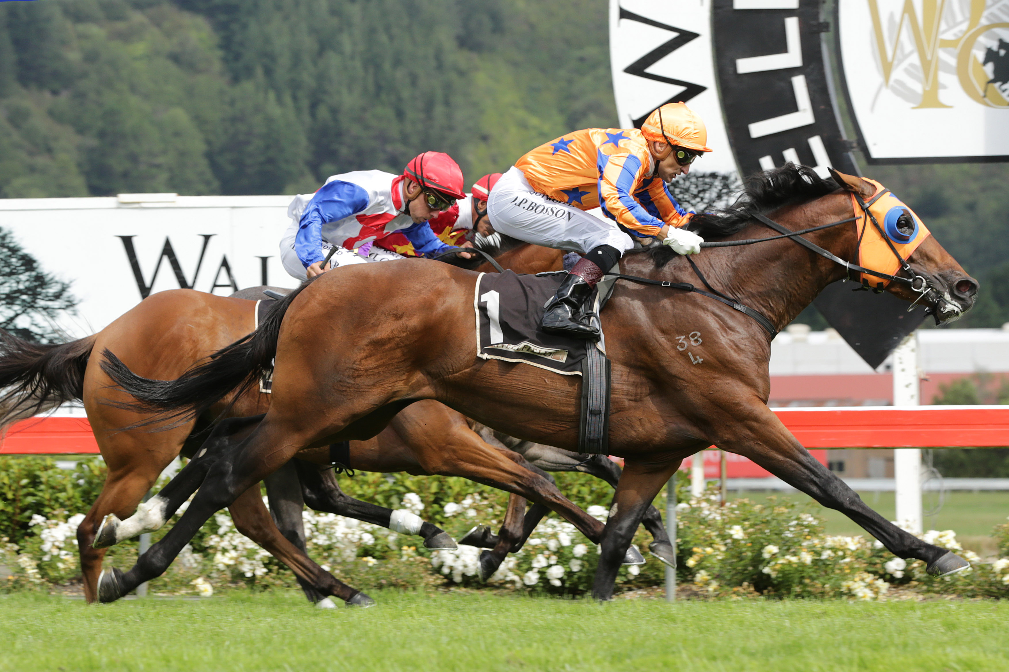 Australian-bred Age Of Fire takes out the Group One Levin Classic in New Zealand.