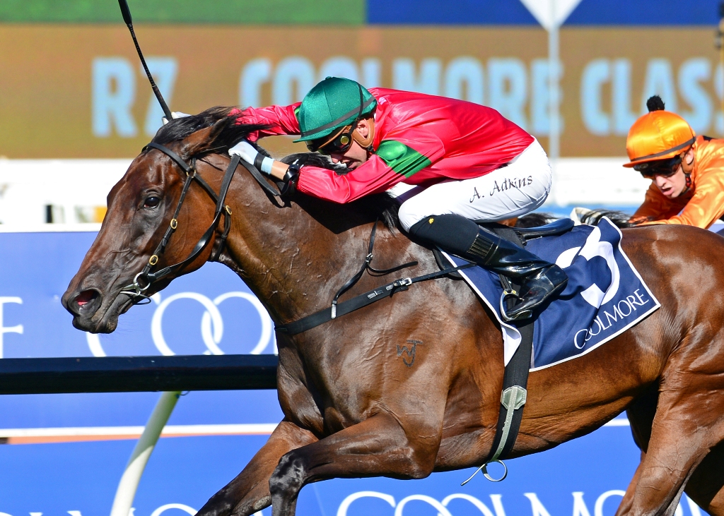 Daysee Doom triumphs in the Coolmore Classic.