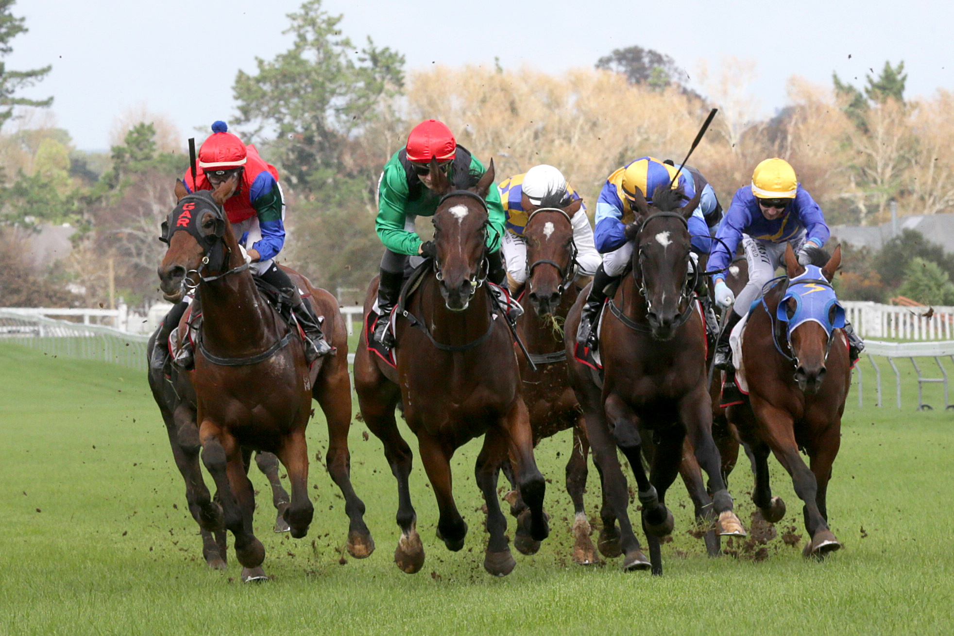 Rubira (green colours) wins the Champagne Stakes at Pukekohe Park
