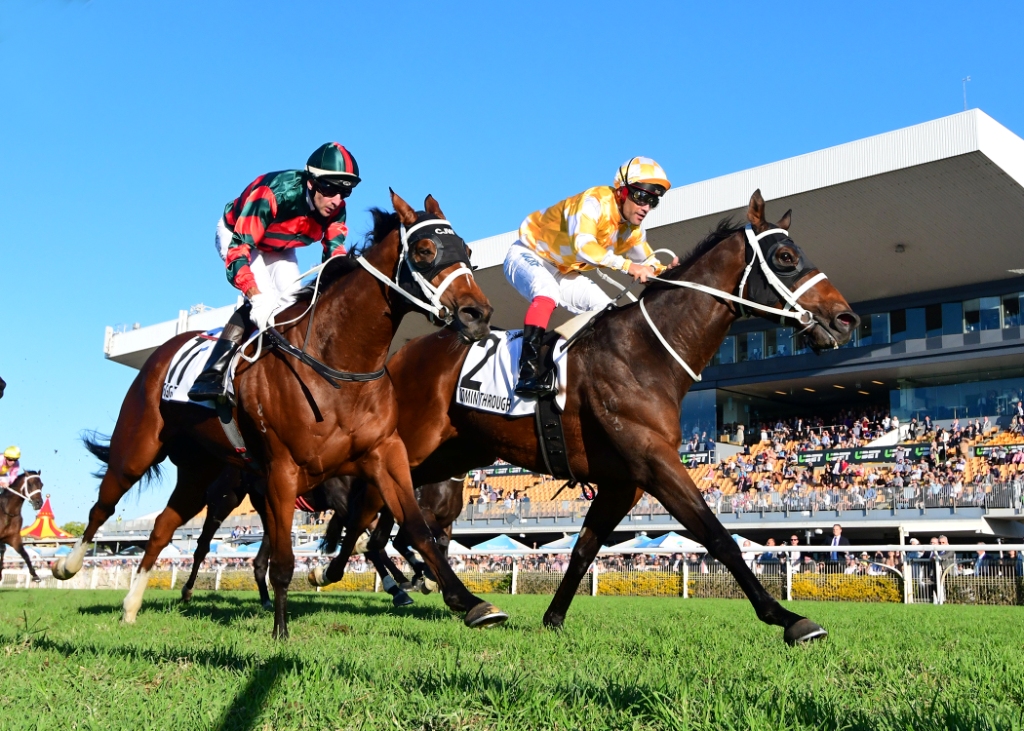 Comin' Through (yellow colours) wins the Doomben Cup
