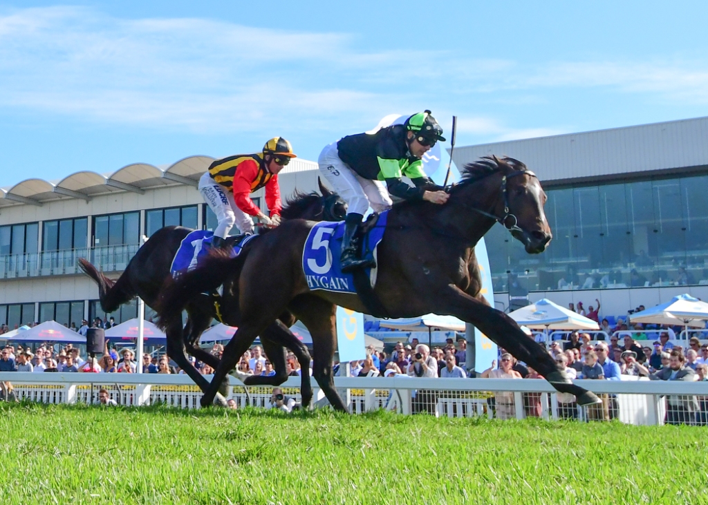 Sesar wins the Ken Russell Stakes (Trackside Photography)