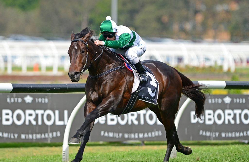 Thinkin' Big Wins The Group 3 Gloaming Stakes