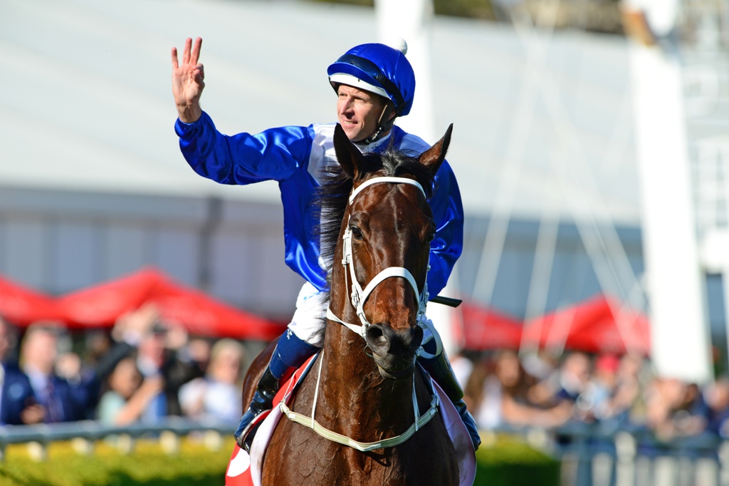 Winx returns to scale after winning the Group One George Main Stakes.