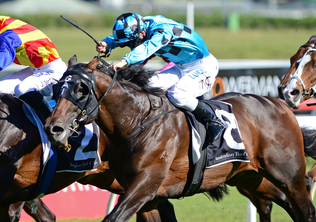 Siege Of Quebec wins the Group Three Bill Ritchie
