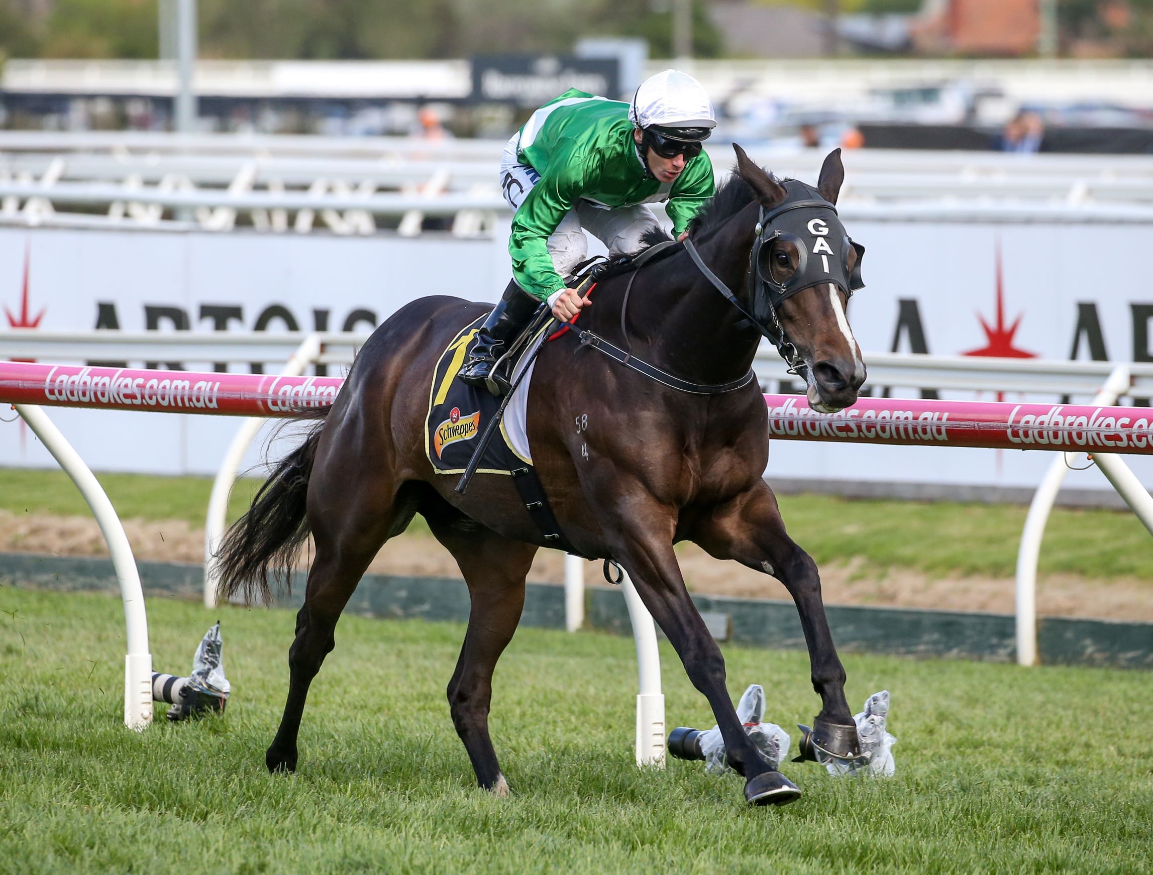 Shumookh charges home to win the Group Two Tristarc Stakes