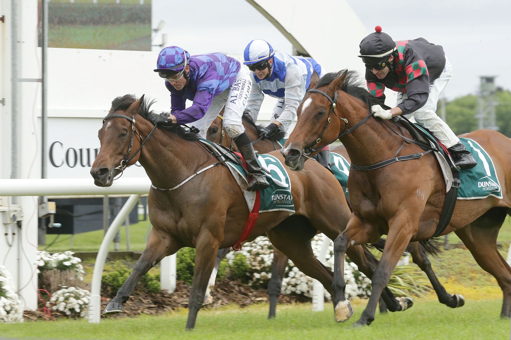 Australian-bred Bisou Bisou wins the Group Two Auckland Thoroughbred Breeders Stakes.