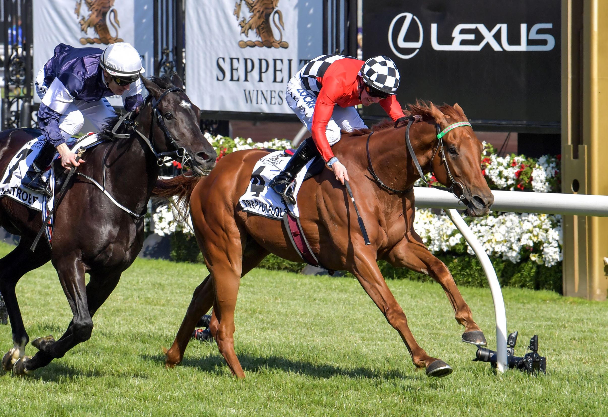 Trap For Fools holds on to win the Seppelt Mackinnon Stakes