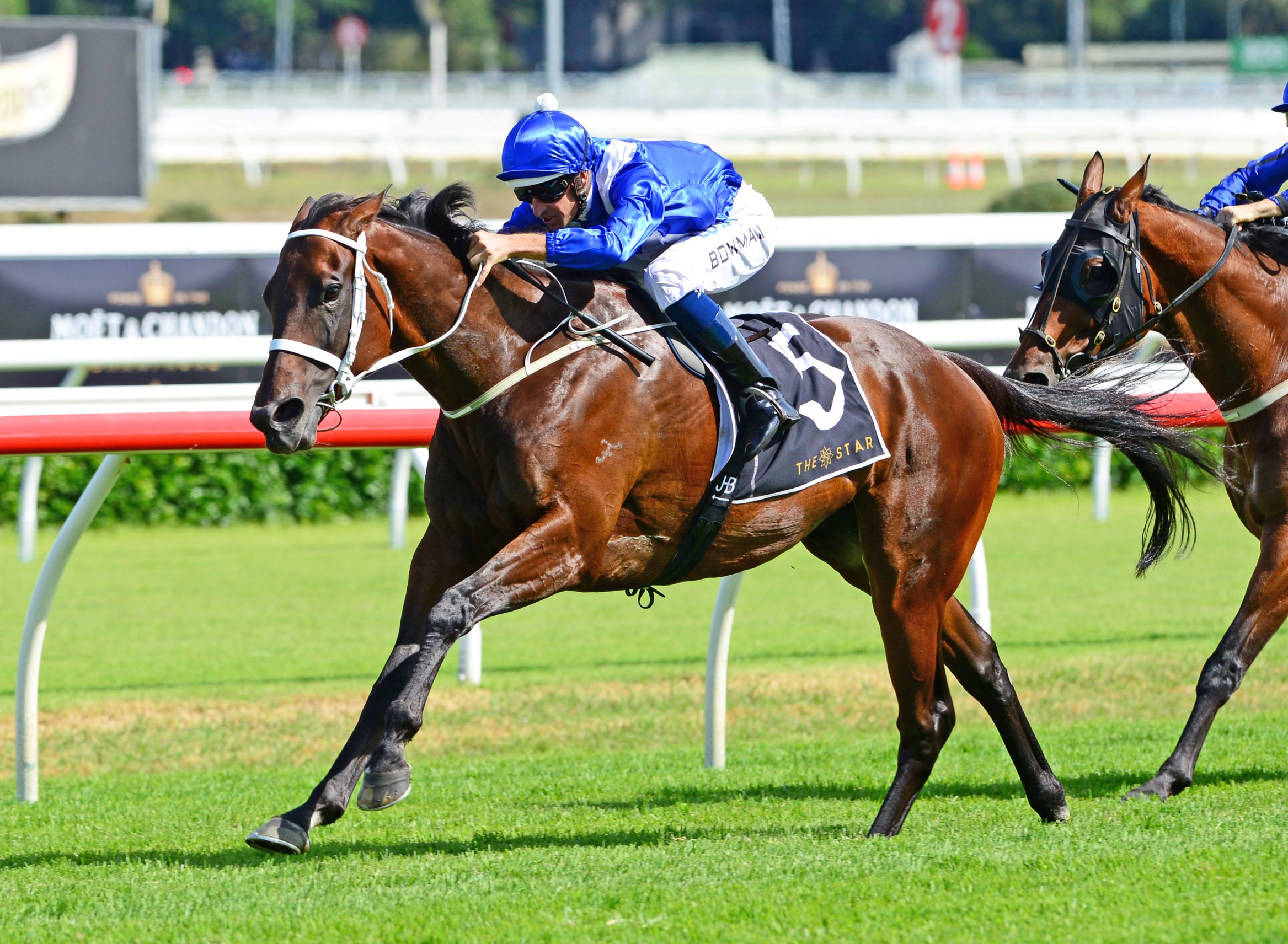 Winx claims her third Apollo Stakes win