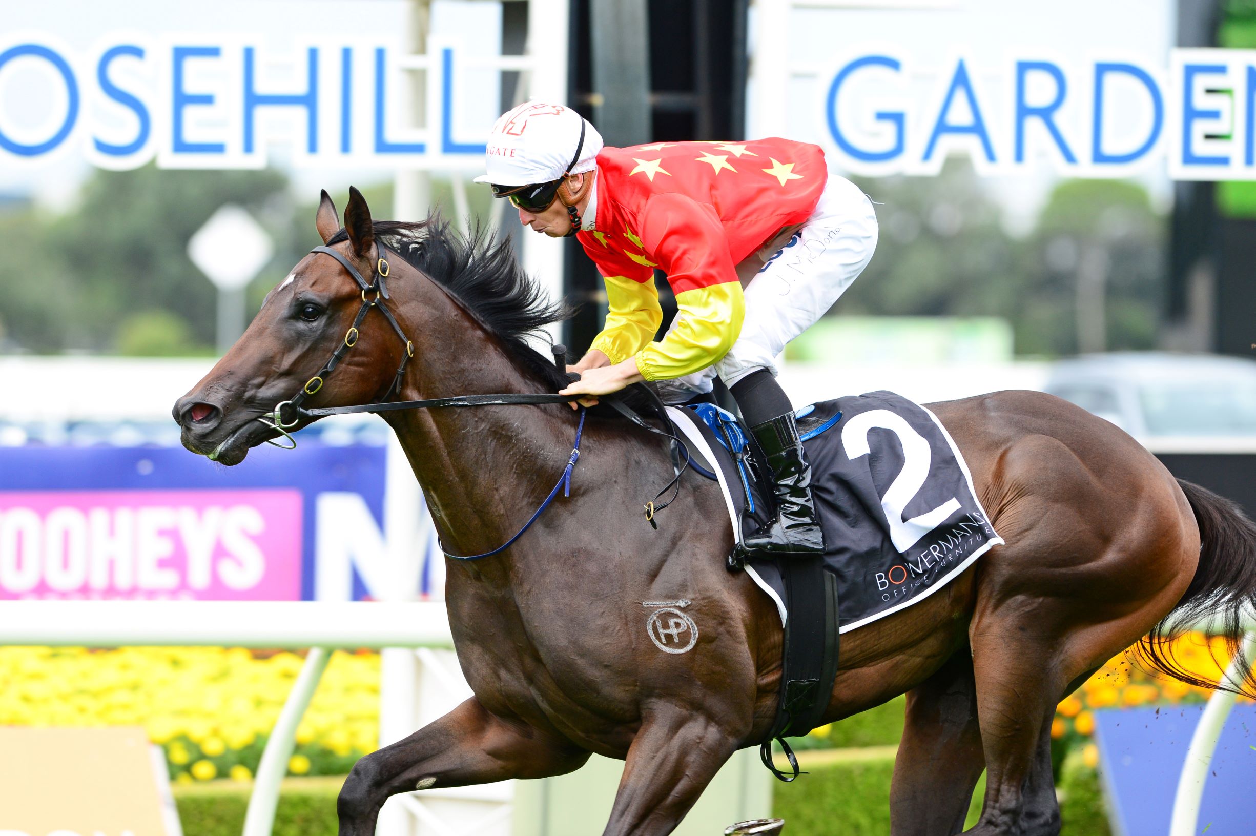 Cosmic Force pricks his ears to win the Group Three Pago Pago Stakes