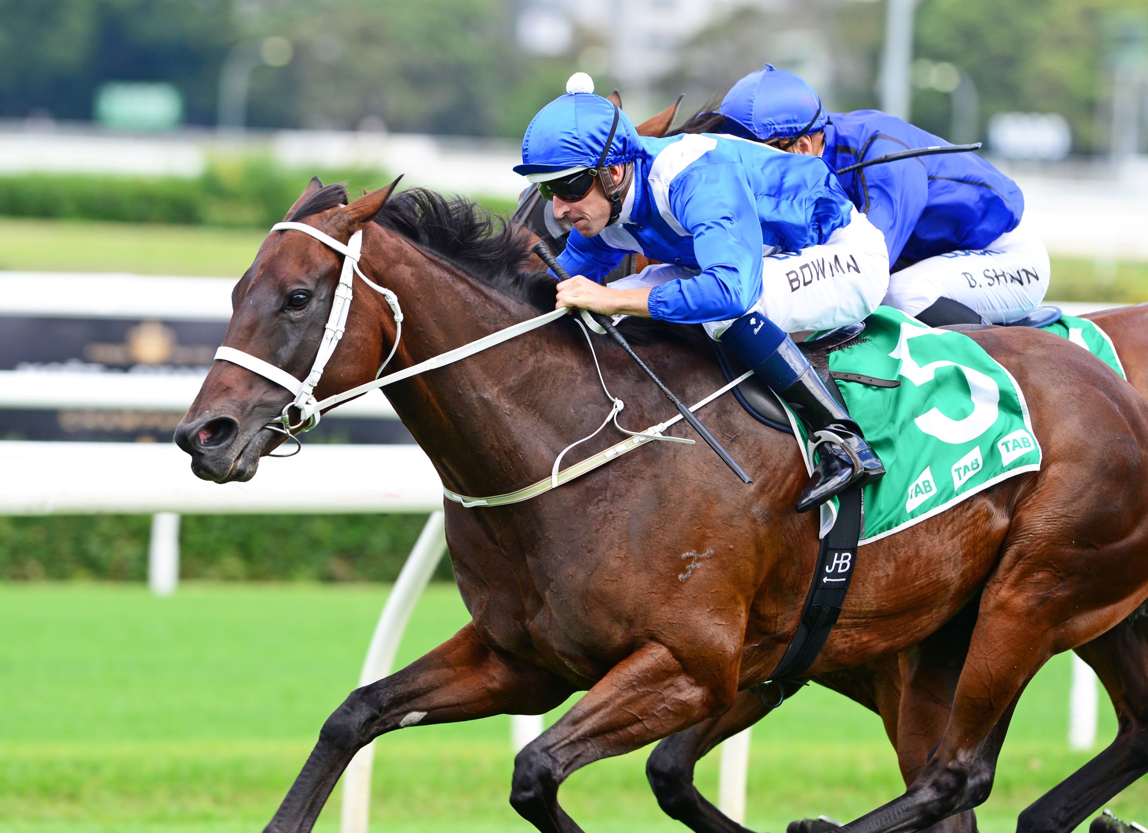 Winx fights off Happy Clapper to win the Chipping Norton Stakes