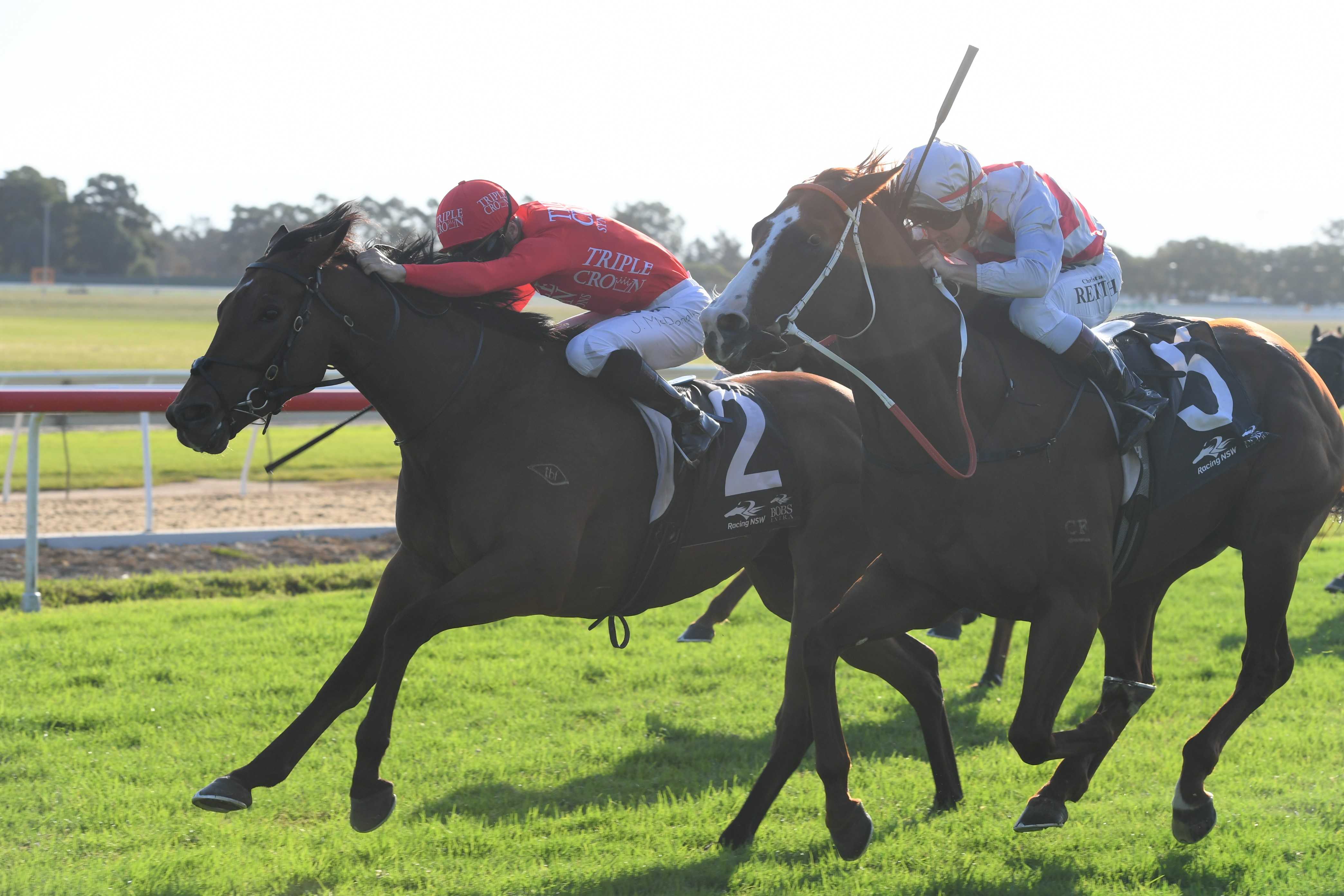 Military Zone fights to win the Hawkesbury Guineas