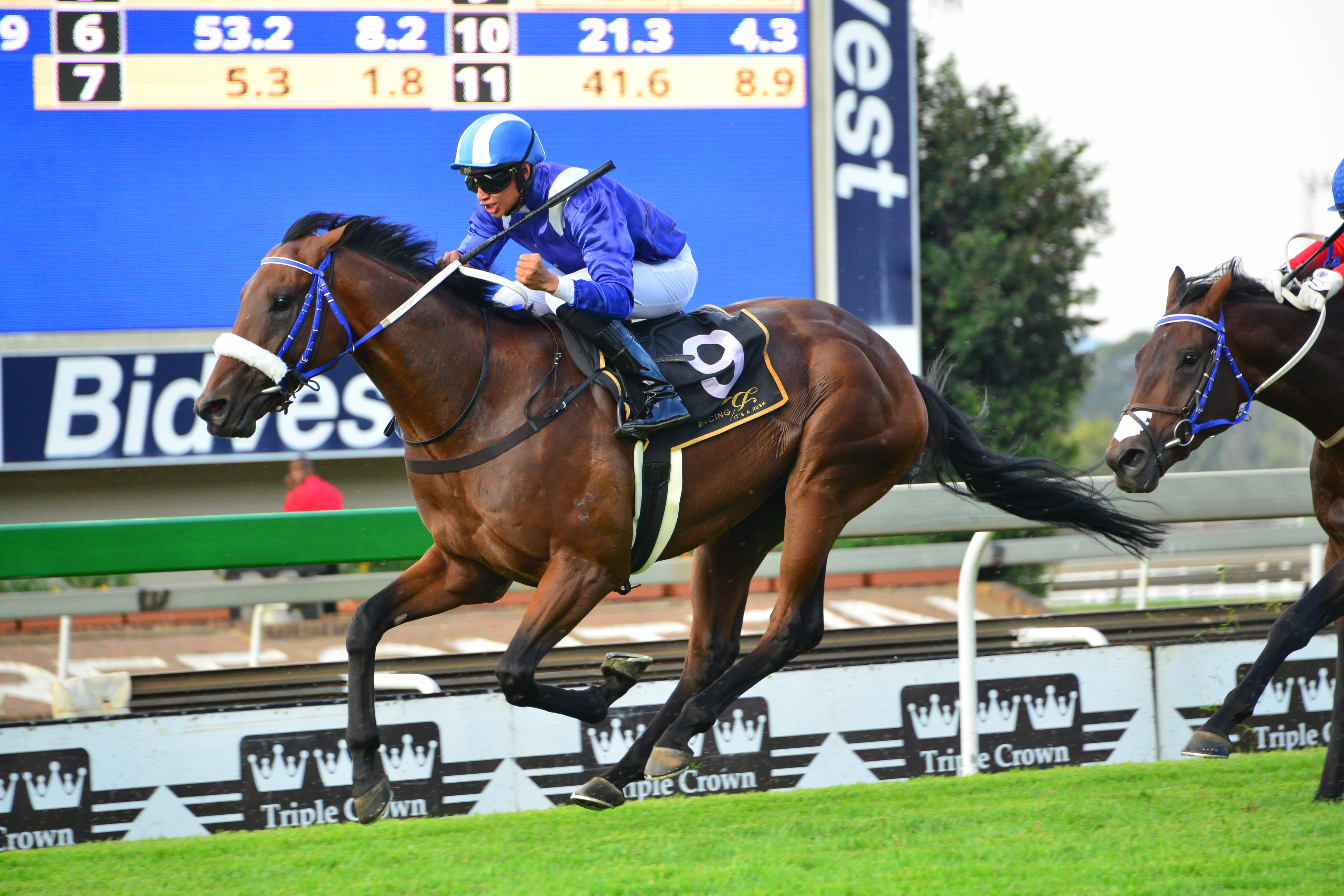 Soqrat wins Group One Horse Chestnut Stakes at Turffontein