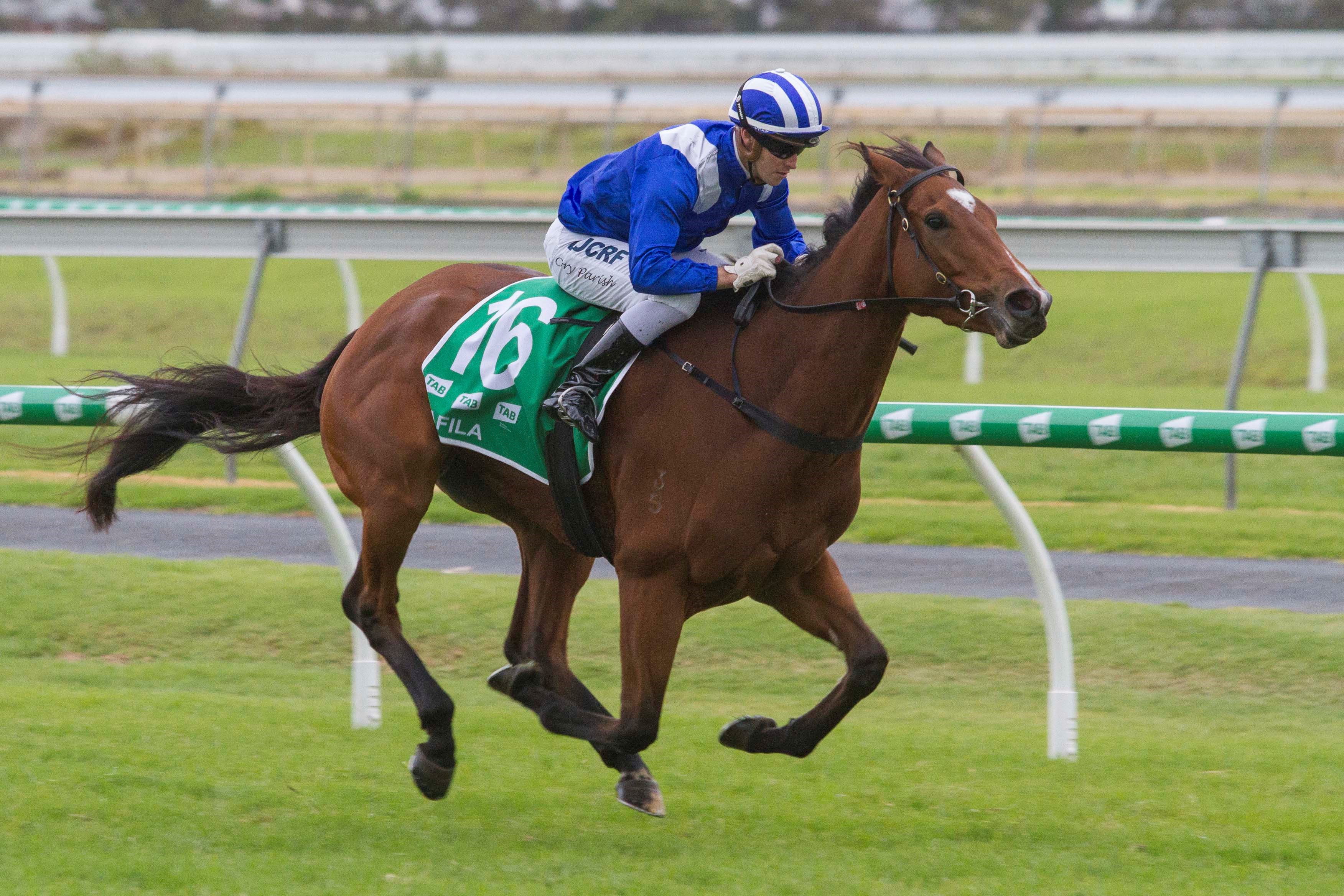 Qafila gallops home to win the TAB South Australian Derby