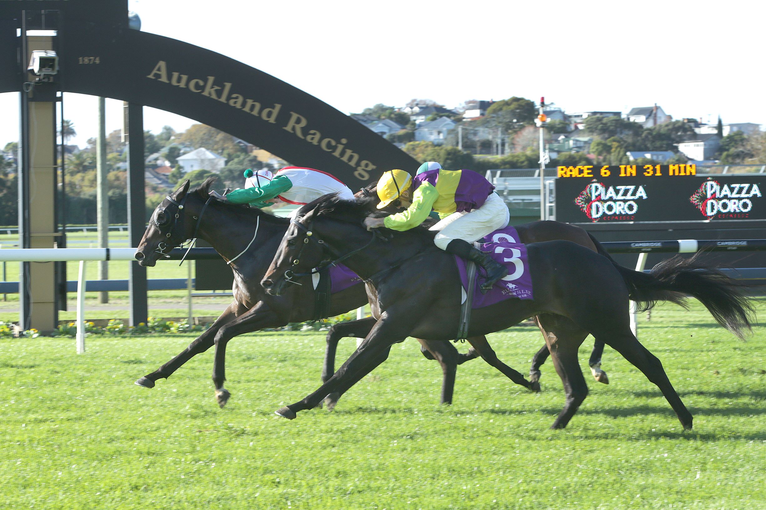Rhaegar wins the Listed Auckland Futurity Stakes at Ellerslie