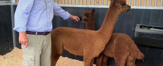 Praying For Magic In Time Of Fires & Lockdown